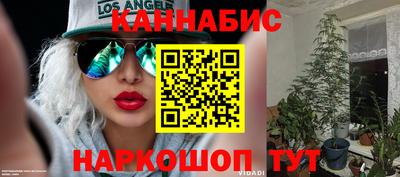 молекула духа Кулебаки