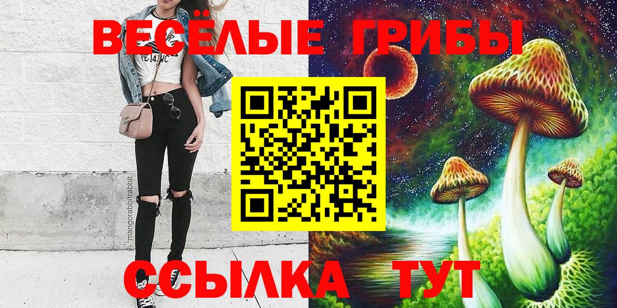 Псилоцибиновые грибы Psilocybe Алушта